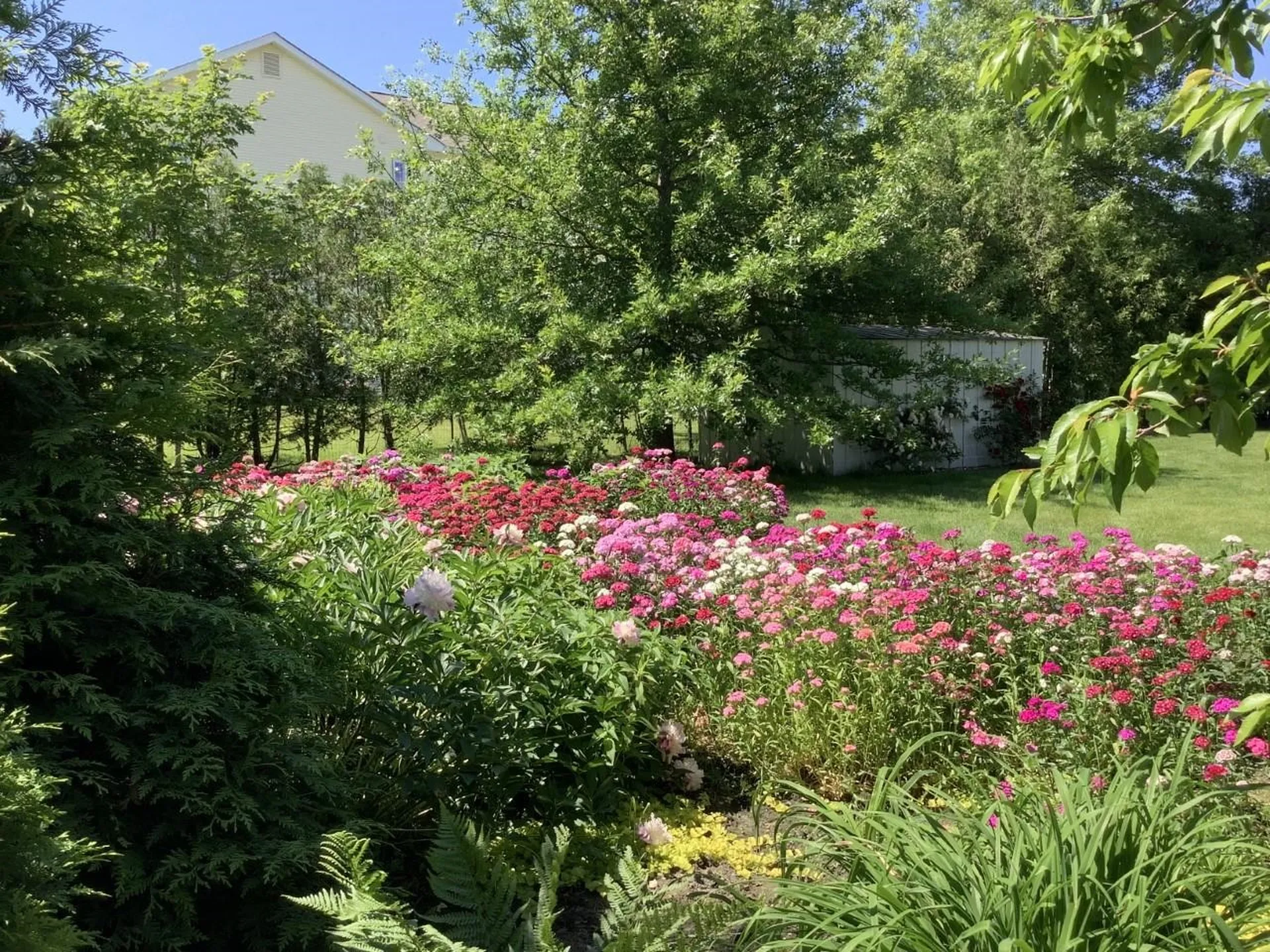 9 Catkin Drive South Burlington VT 05403