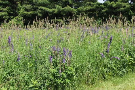 111 Meadow Run Road Williston VT 05495