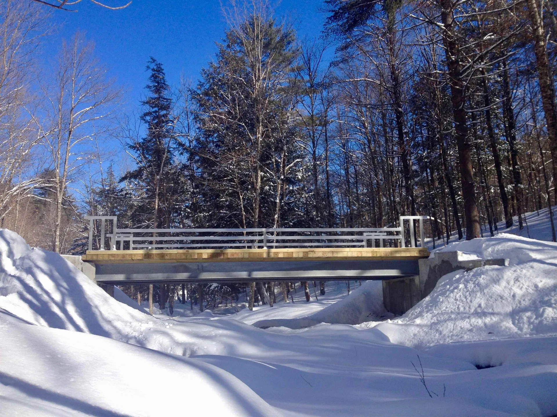 33 Mitchell Brook Road Norwich VT 05055