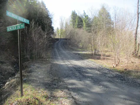 186 Holbrook Ridge Road Randolph VT 05060