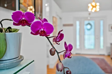 14 North Pinnacle Ridge Road Waterbury VT 05676