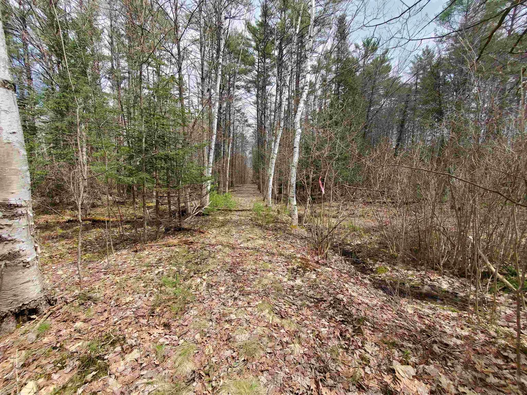 0 Canaan Street Canaan NH 03741