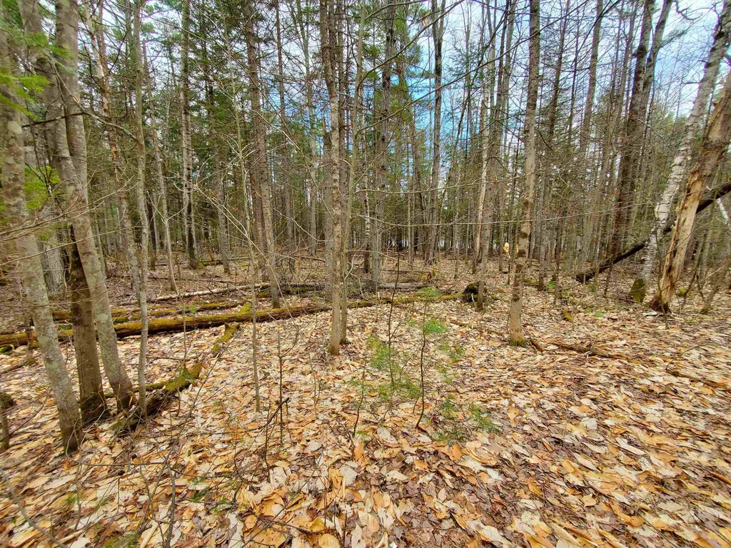0 Canaan Street Canaan NH 03741