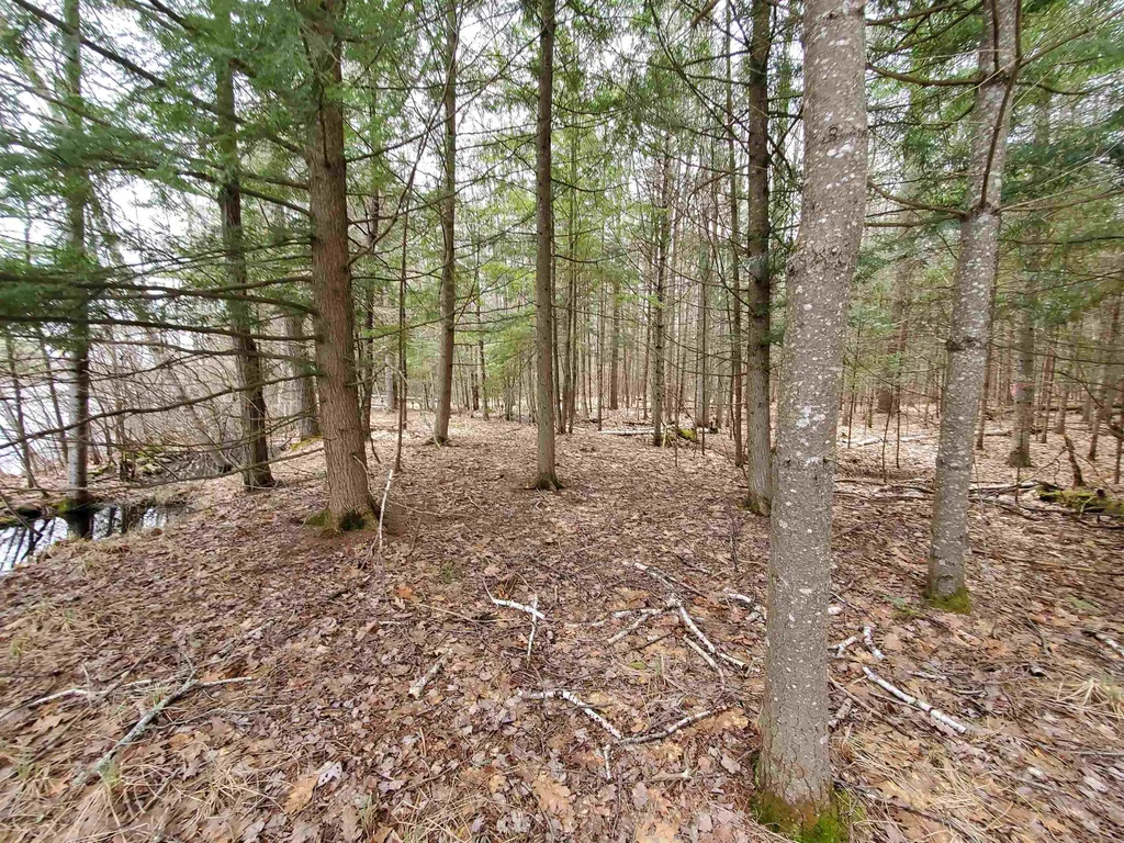 0 Canaan Street Canaan NH 03741