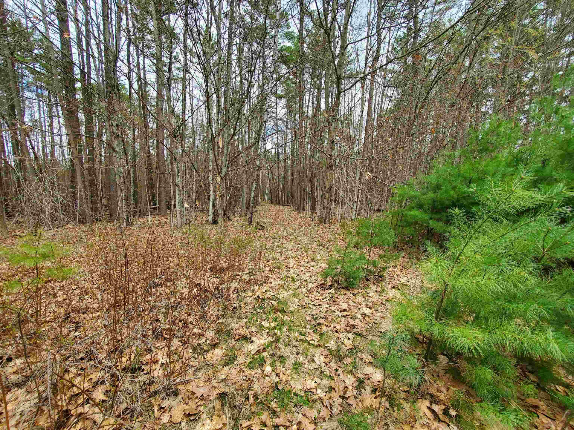0 Canaan Street Canaan NH 03741