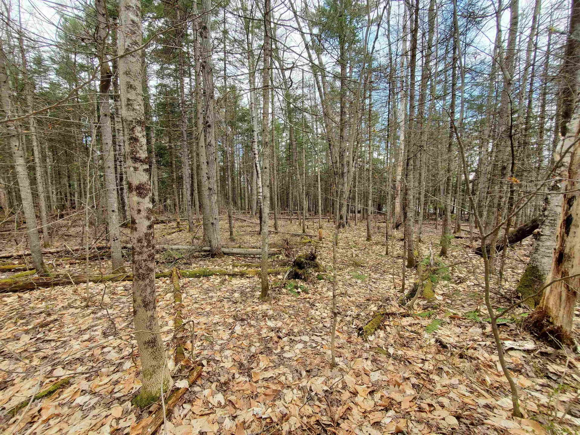 0 Canaan Street Canaan NH 03741