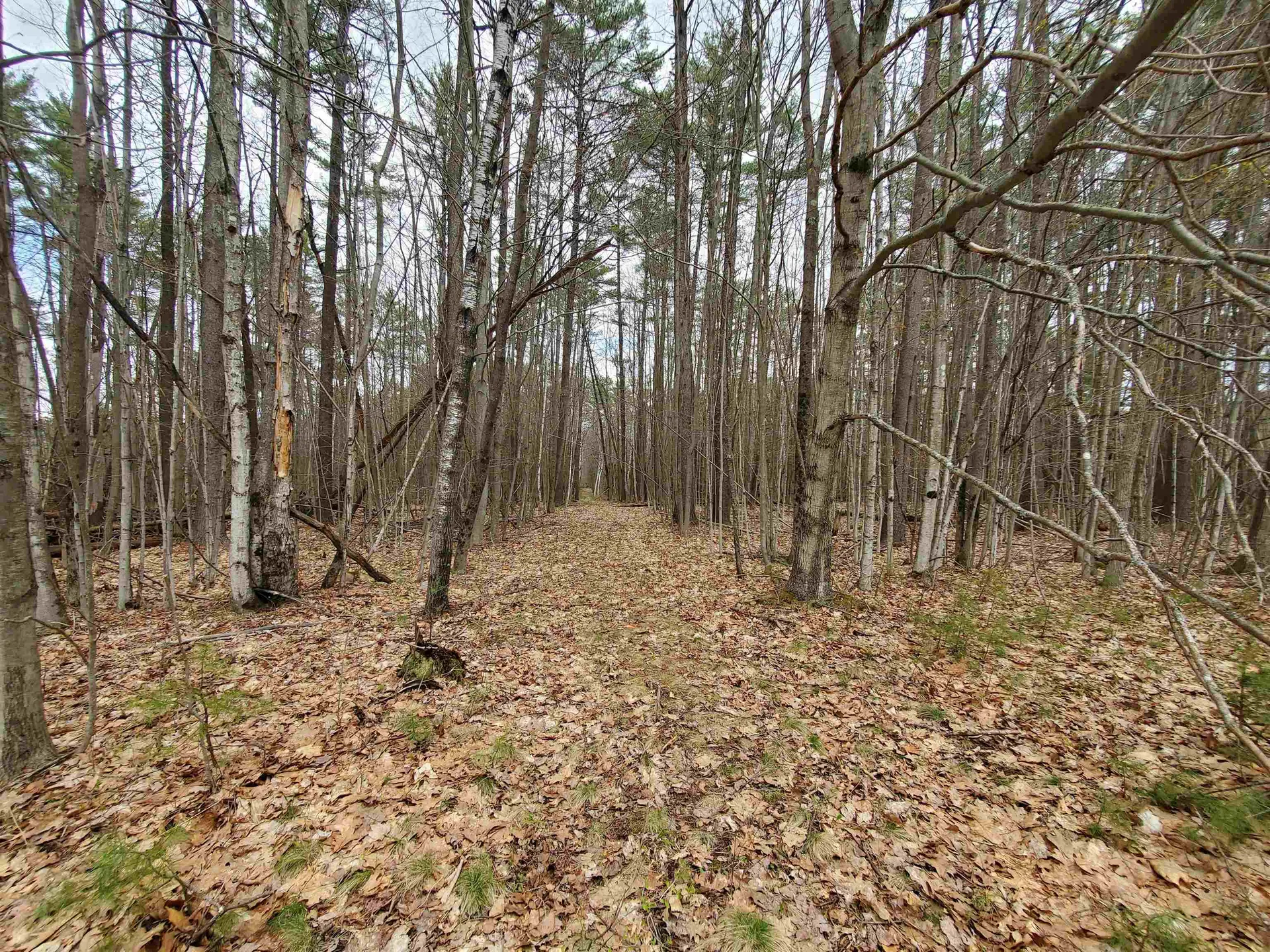 0 Canaan Street Canaan NH 03741