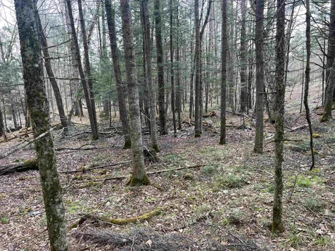 00 Shadow Lake Road Waterford VT 05819