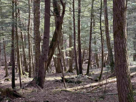 00 Shadow Lake Road Waterford VT 05819