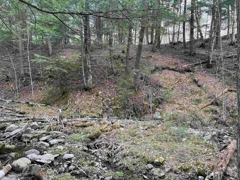 00 Shadow Lake Road Waterford VT 05819