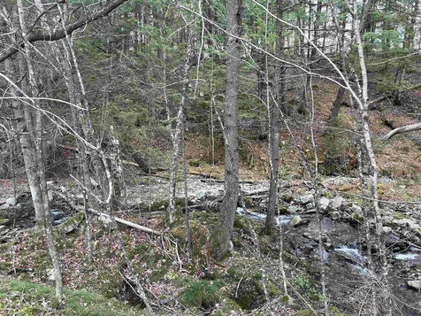 00 Shadow Lake Road Waterford VT 05819