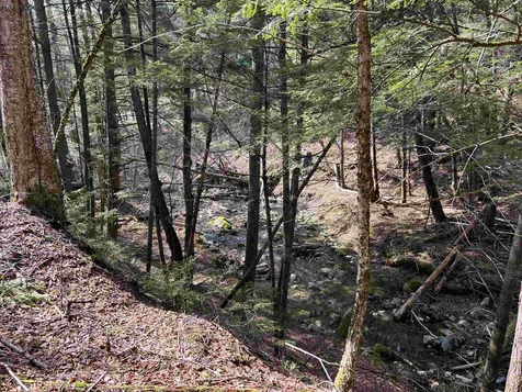 00 Shadow Lake Road Waterford VT 05819