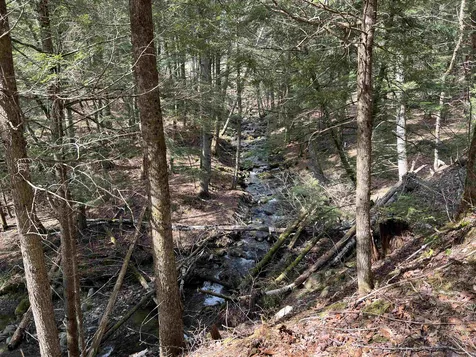 00 Shadow Lake Road Waterford VT 05819