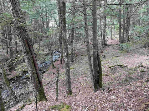 00 Shadow Lake Road Waterford VT 05819