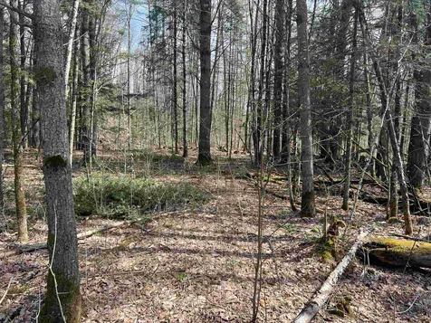 00 Shadow Lake Road Waterford VT 05819