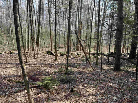 00 Shadow Lake Road Waterford VT 05819