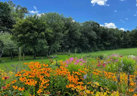 1643 Green Bay Loop Peacham VT 05862