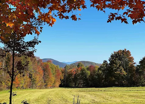 1643 Green Bay Loop Peacham VT 05862