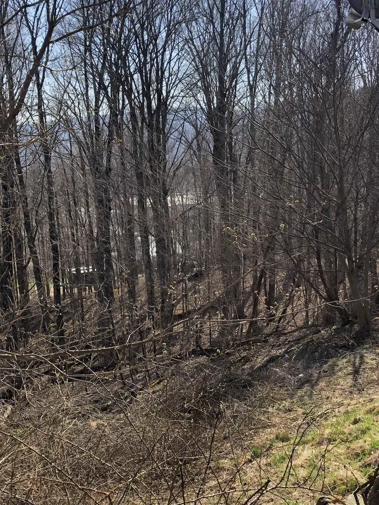 86 Laurel Lane Waterbury VT 05677