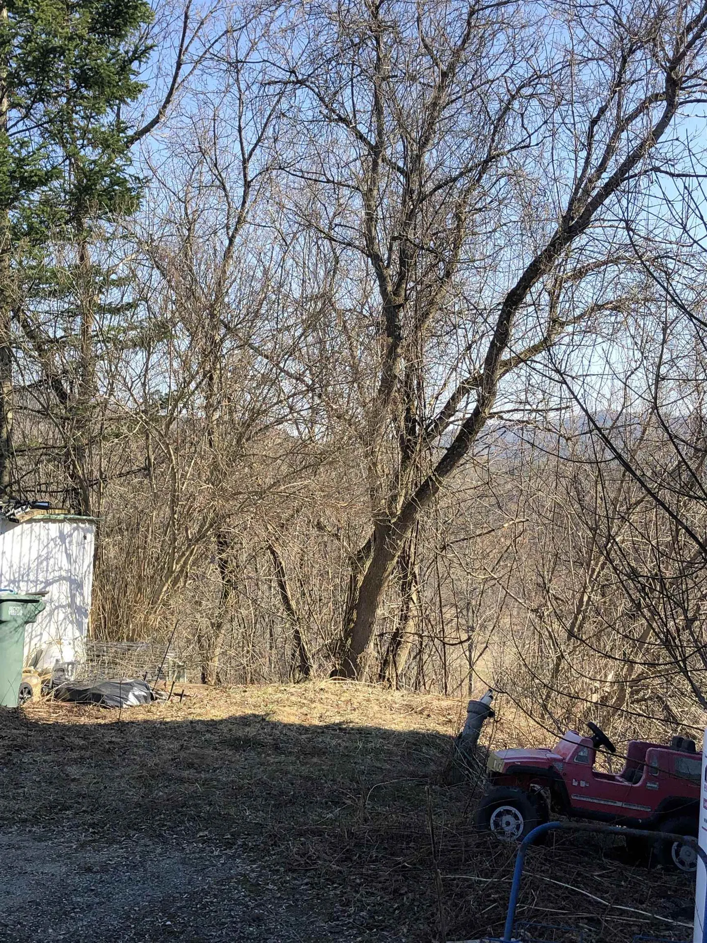 86 Laurel Lane Waterbury VT 05677