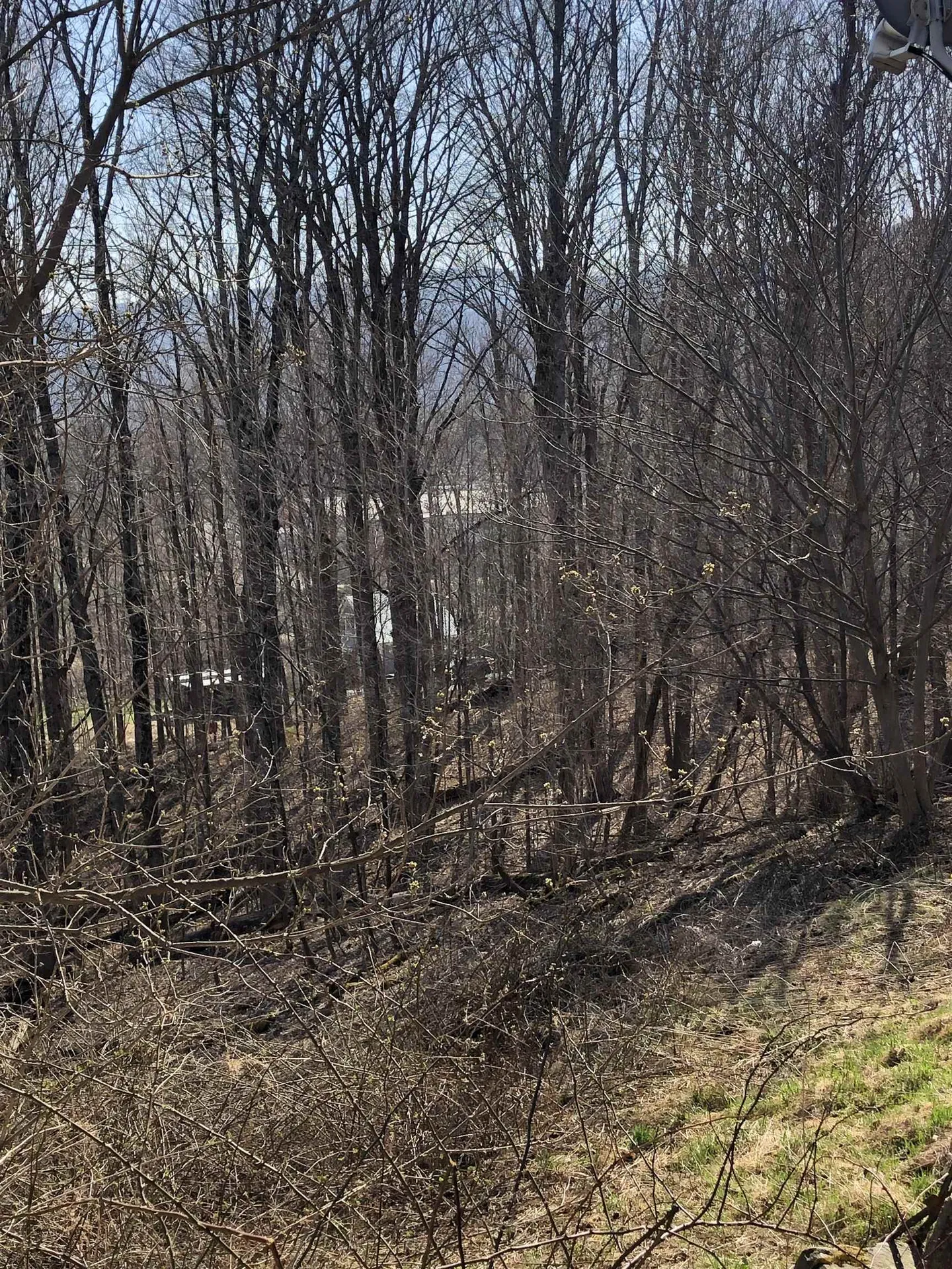 86 Laurel Lane Waterbury VT 05677