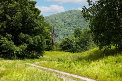 Lots 7,8,9 Birchstone Lane Dorset VT 05253