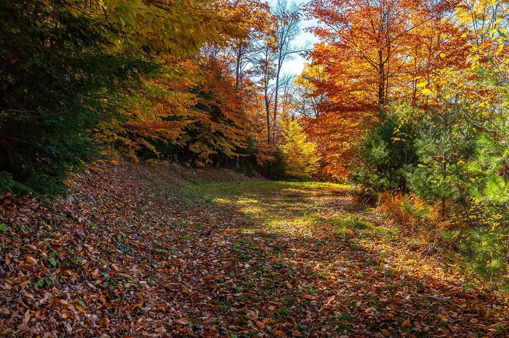 37 Low Road Hanover NH 03755