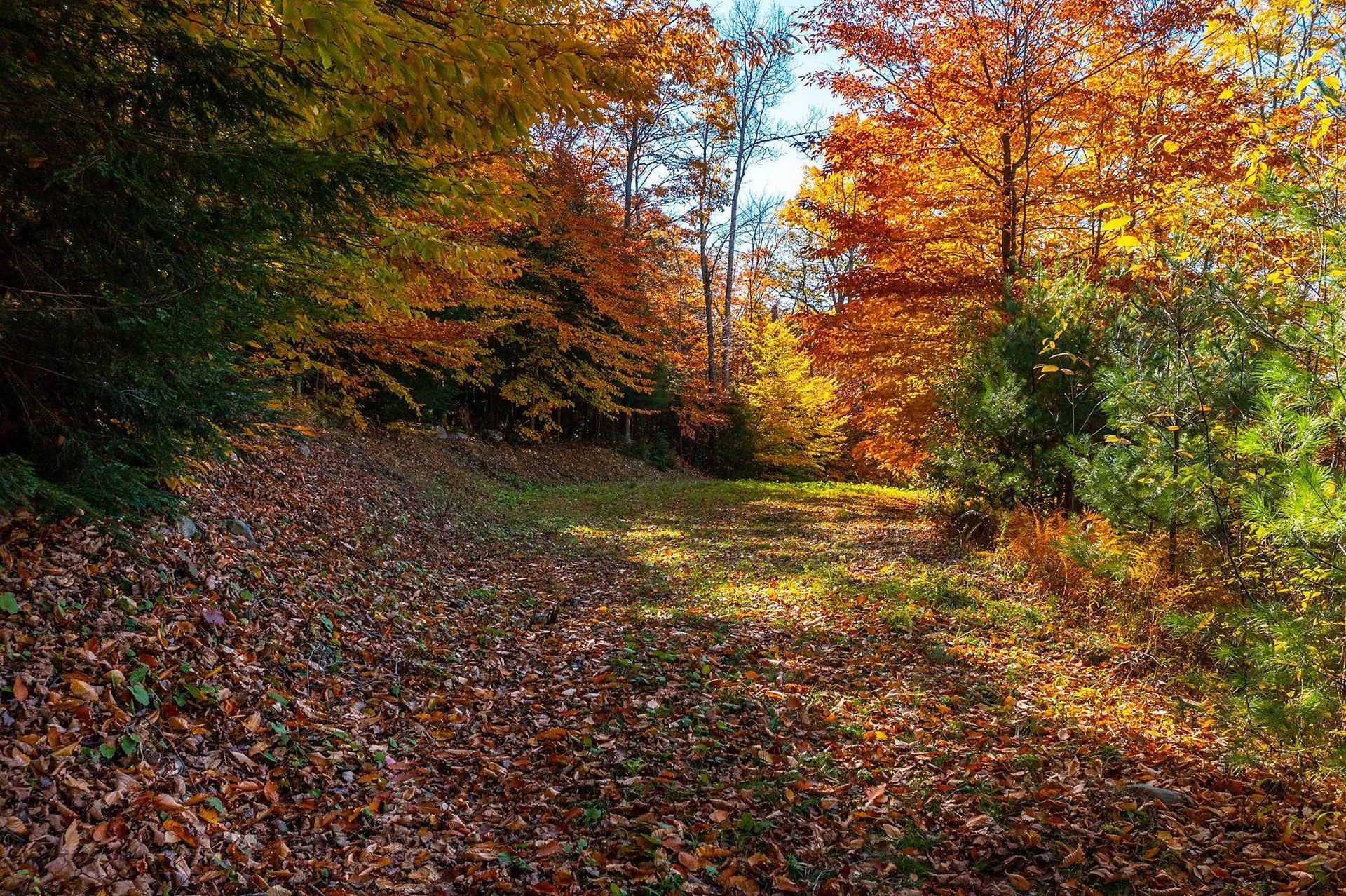 37 Low Road Hanover NH 03755