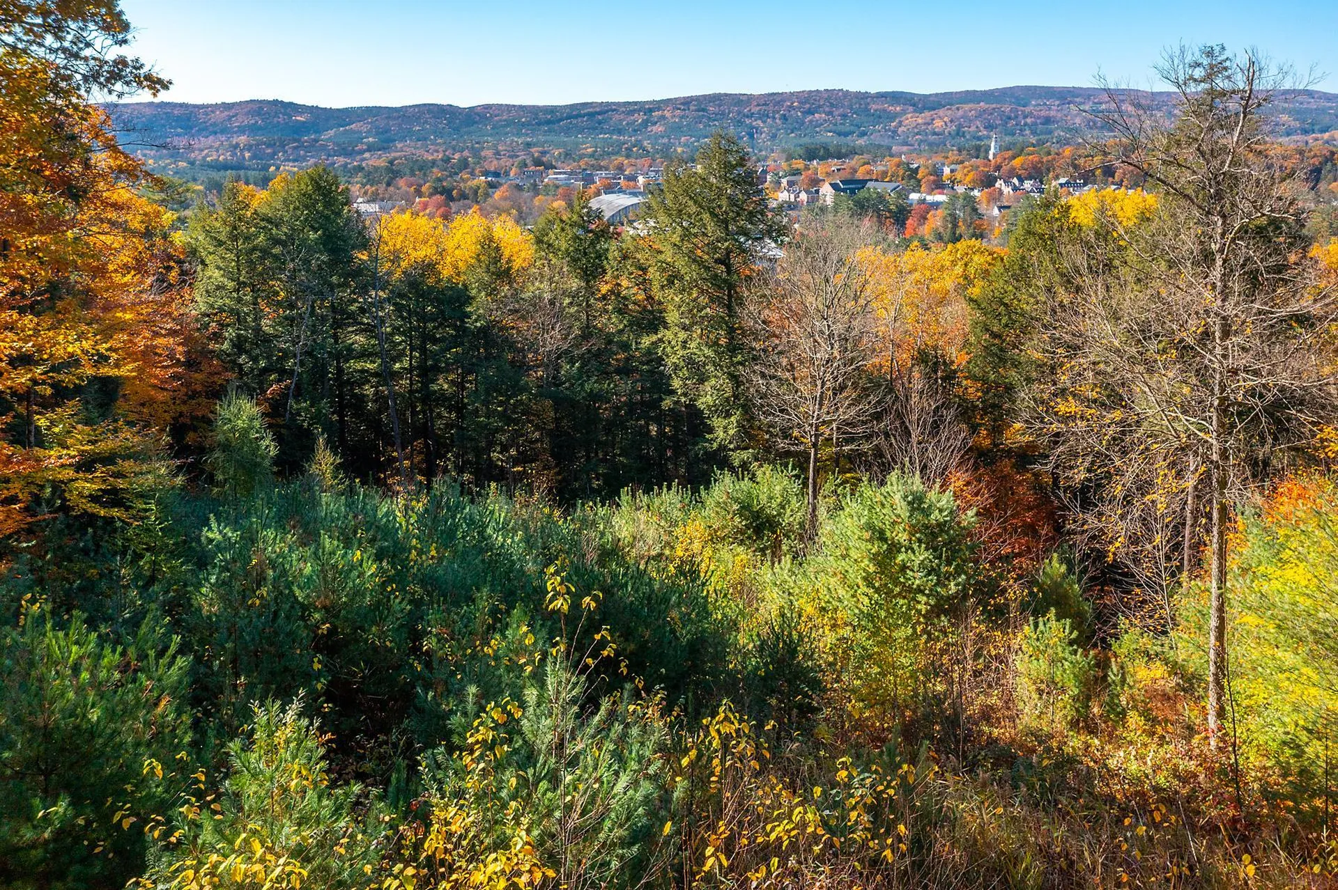 37 Low Road Hanover NH 03755