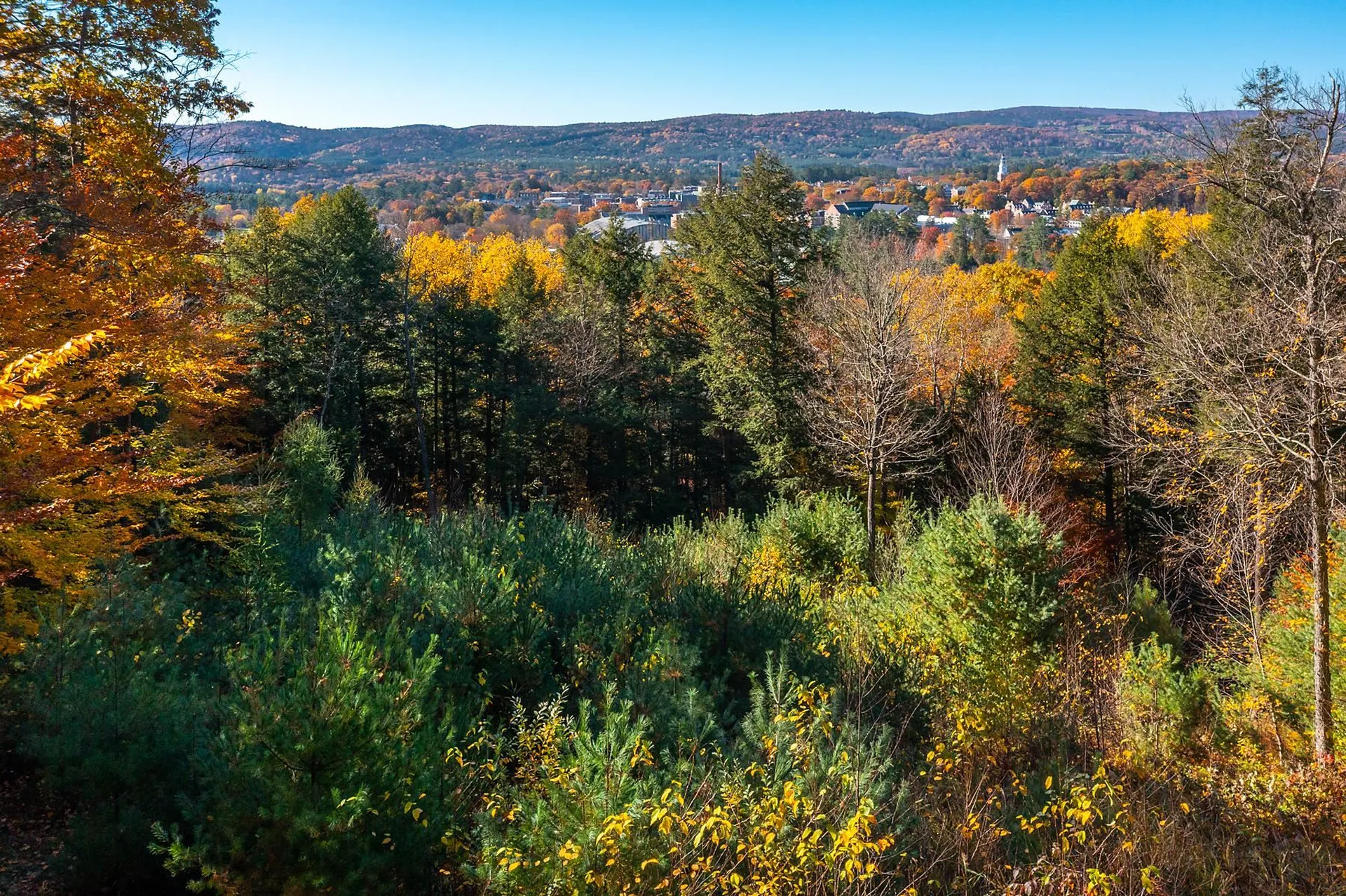 37 Low Road Hanover NH 03755