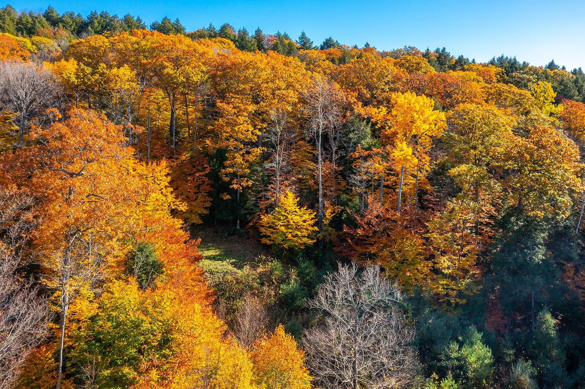 37 Low Road Hanover NH 03755