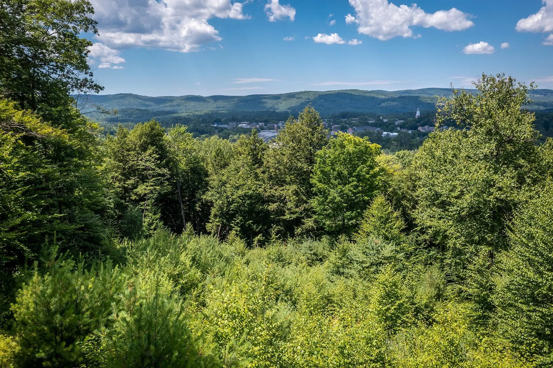 37 Low Road Hanover NH 03755