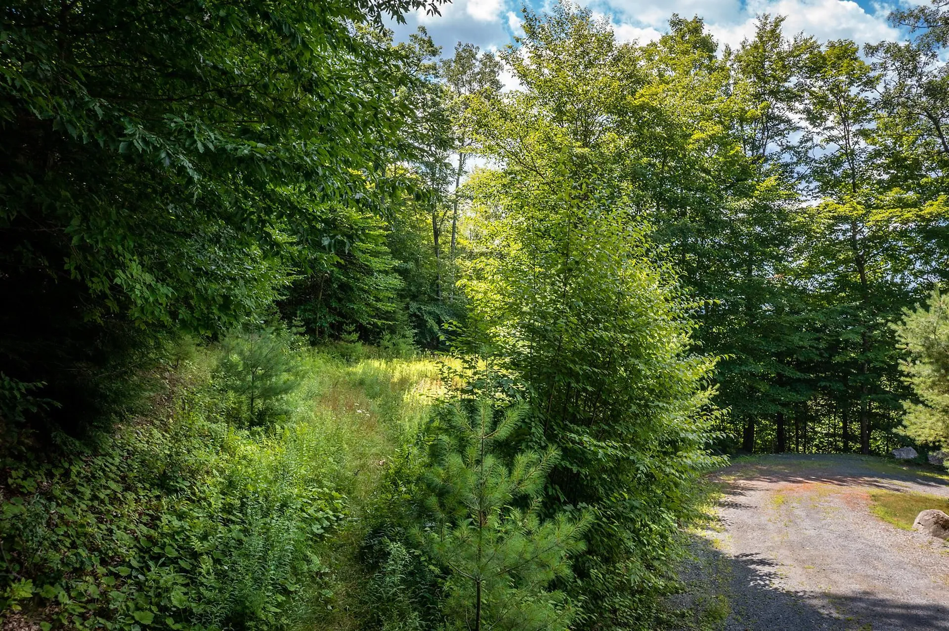 37 Low Road Hanover NH 03755