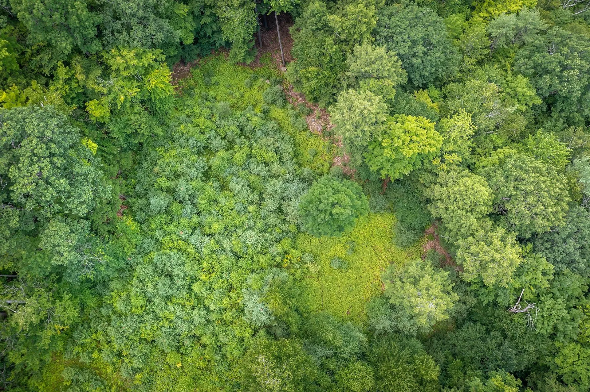 37 Low Road Hanover NH 03755