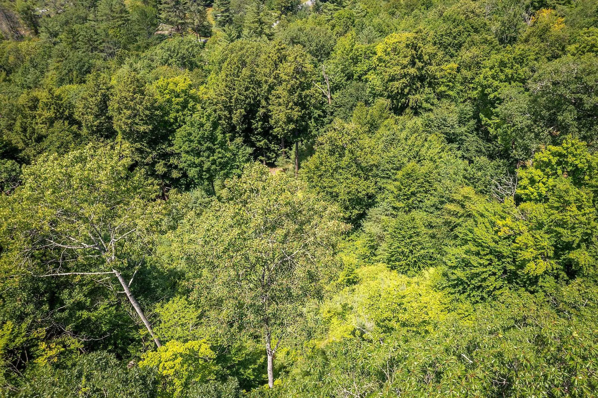 37 Low Road Hanover NH 03755