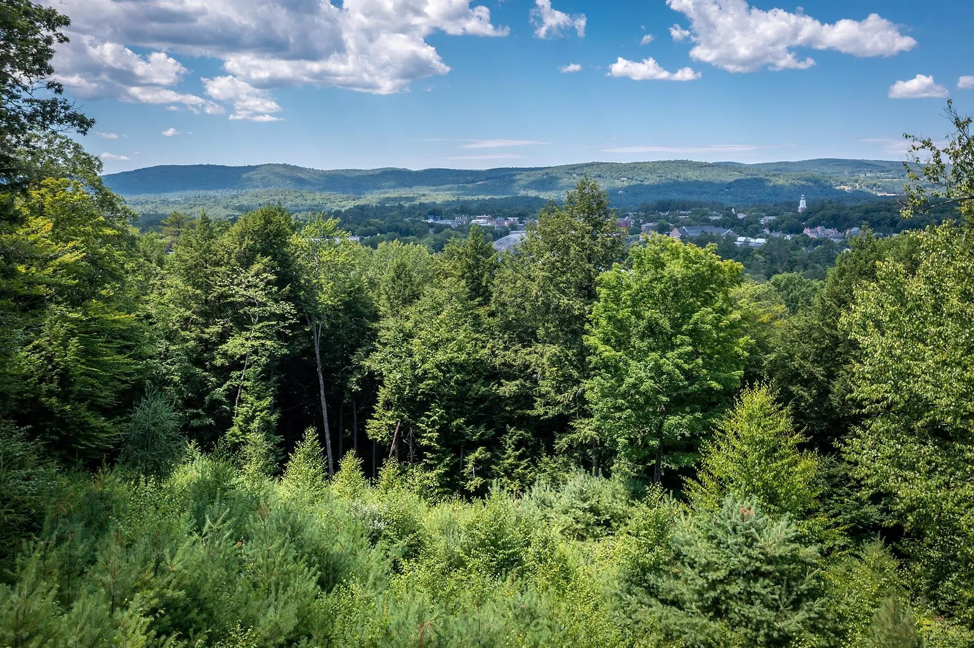 37 Low Road Hanover NH 03755