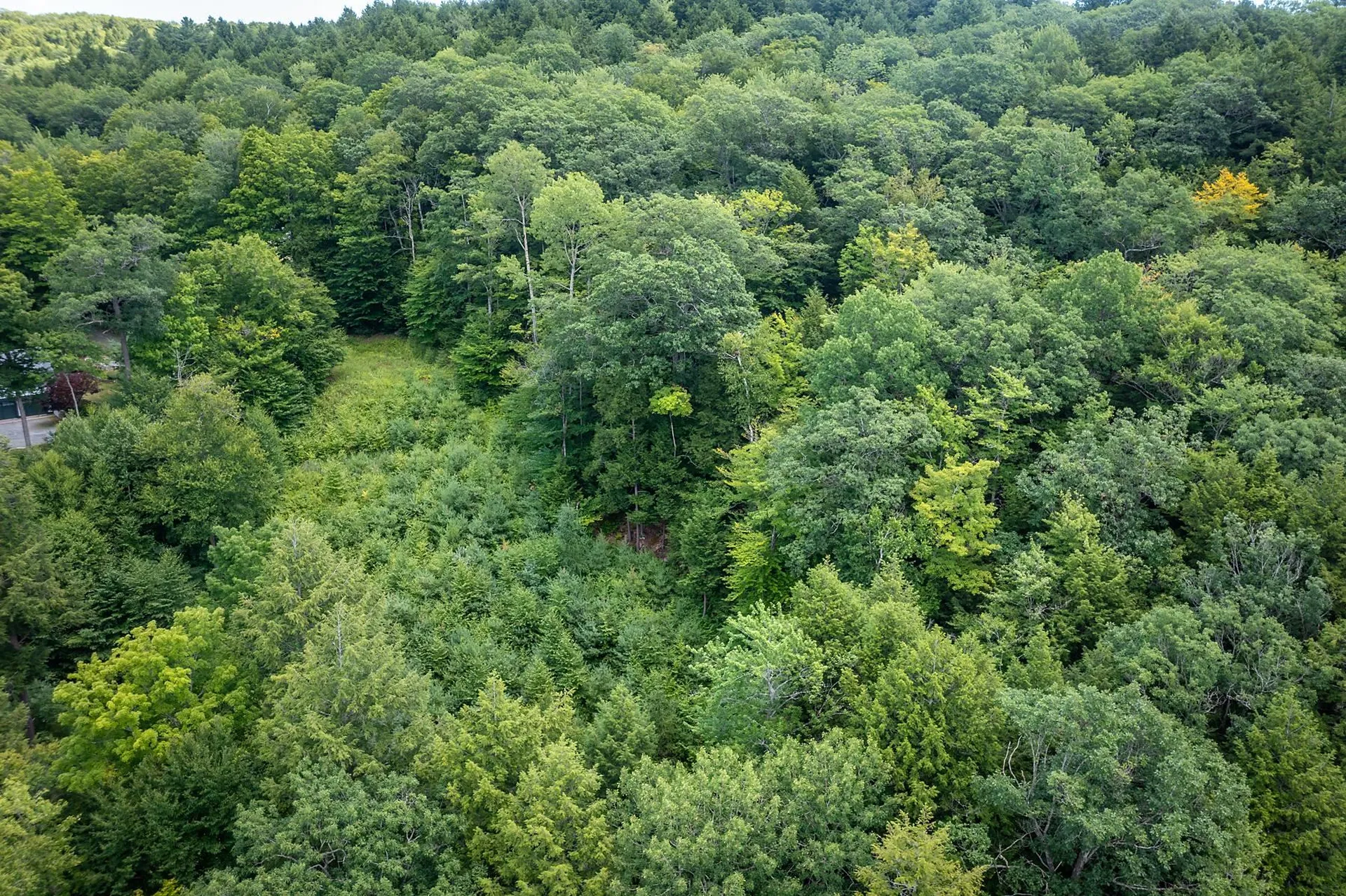 37 Low Road Hanover NH 03755