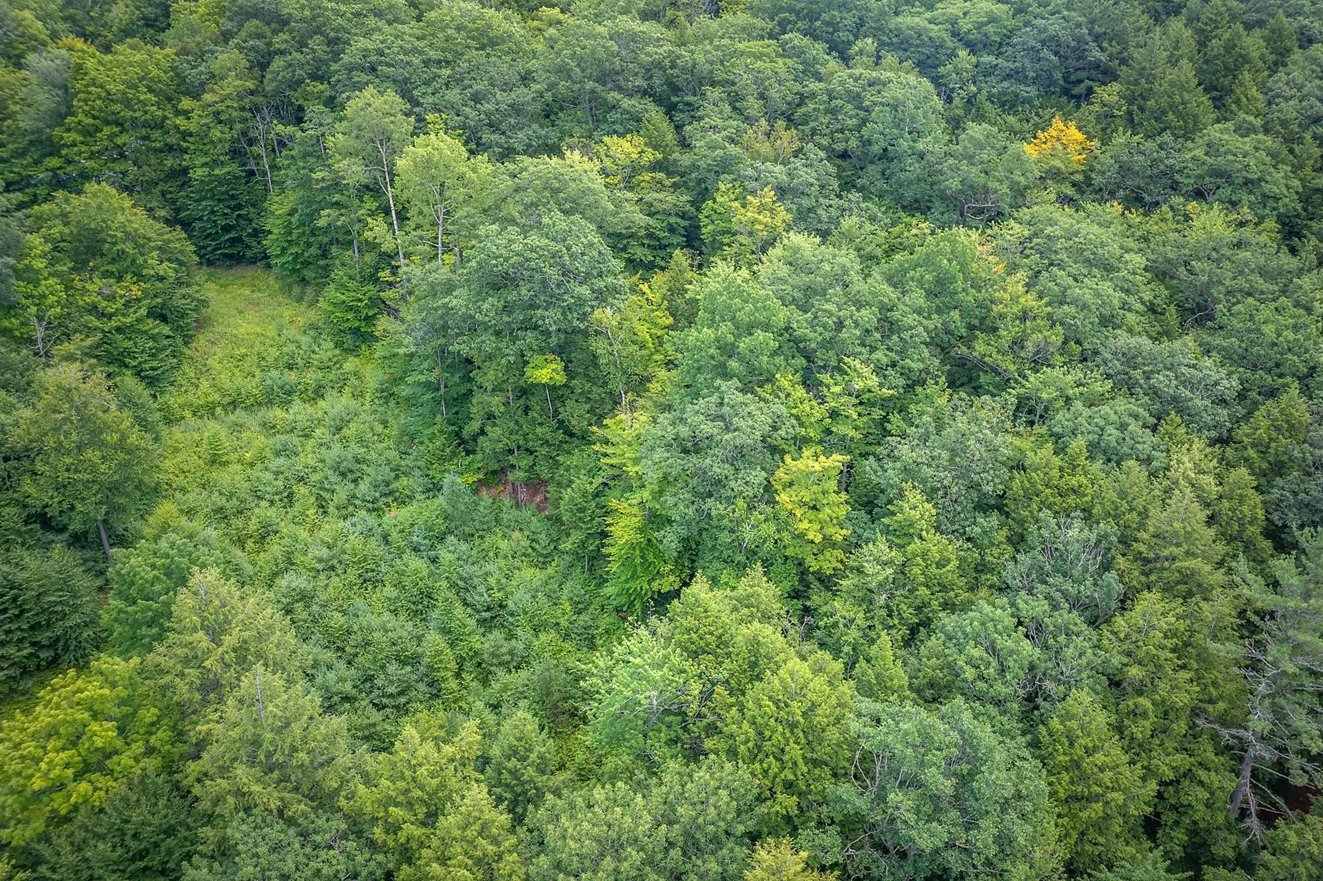 37 Low Road Hanover NH 03755