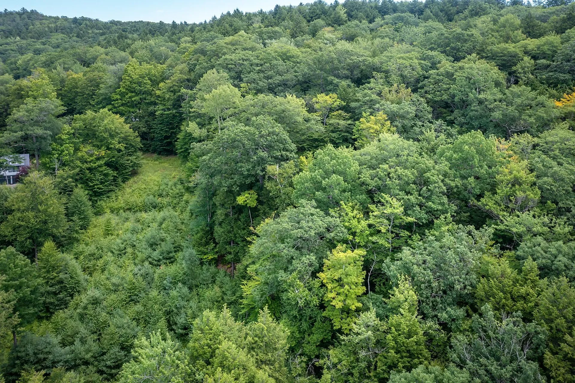 37 Low Road Hanover NH 03755