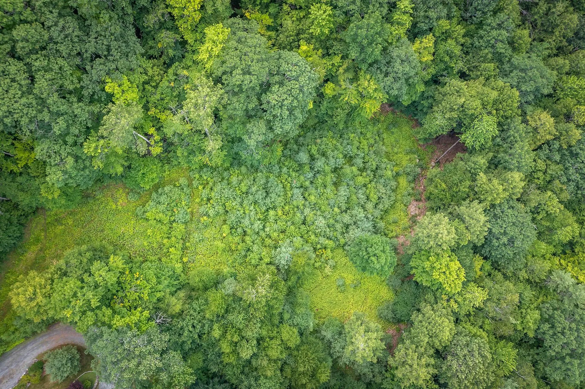 37 Low Road Hanover NH 03755