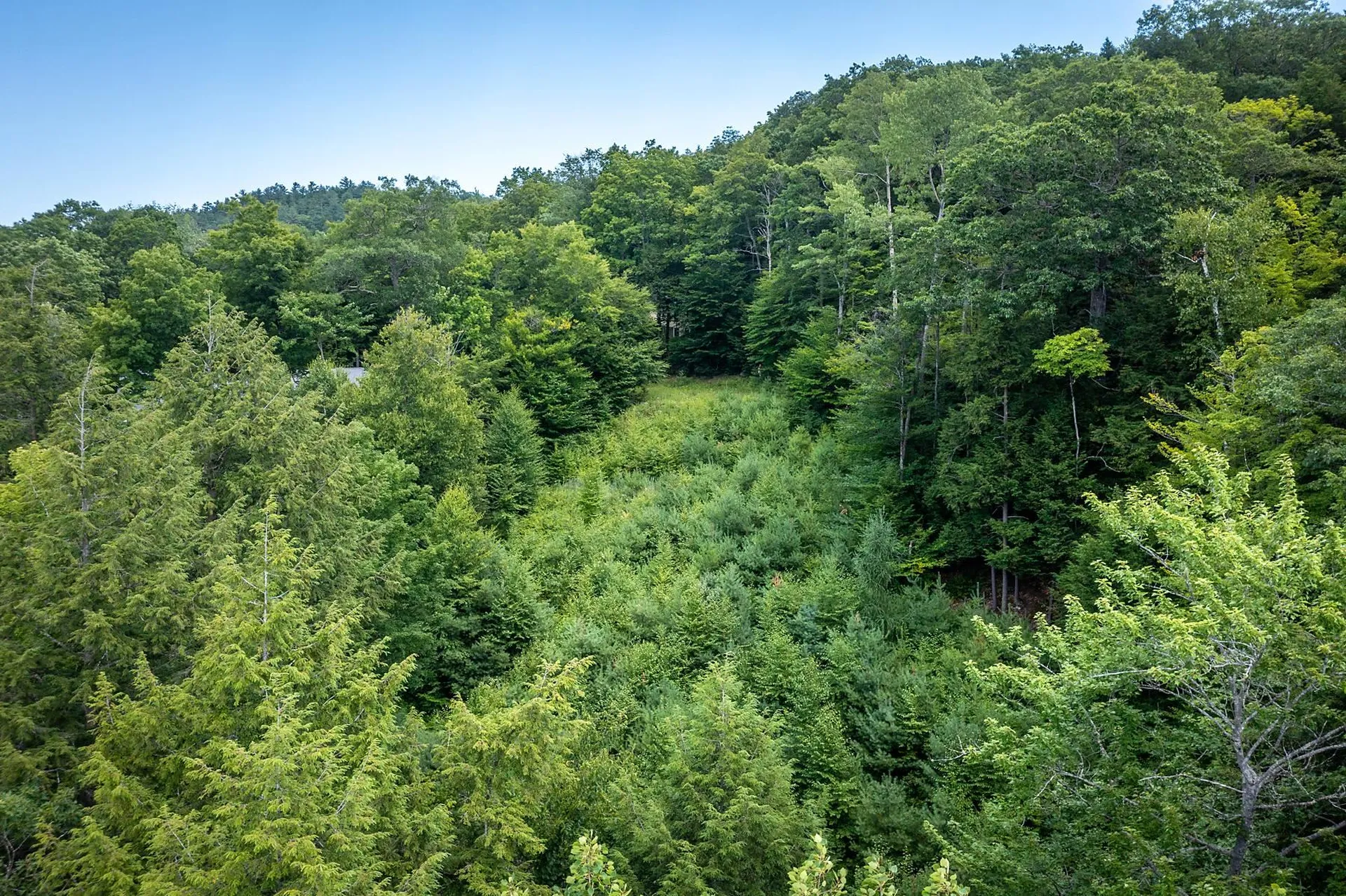 37 Low Road Hanover NH 03755