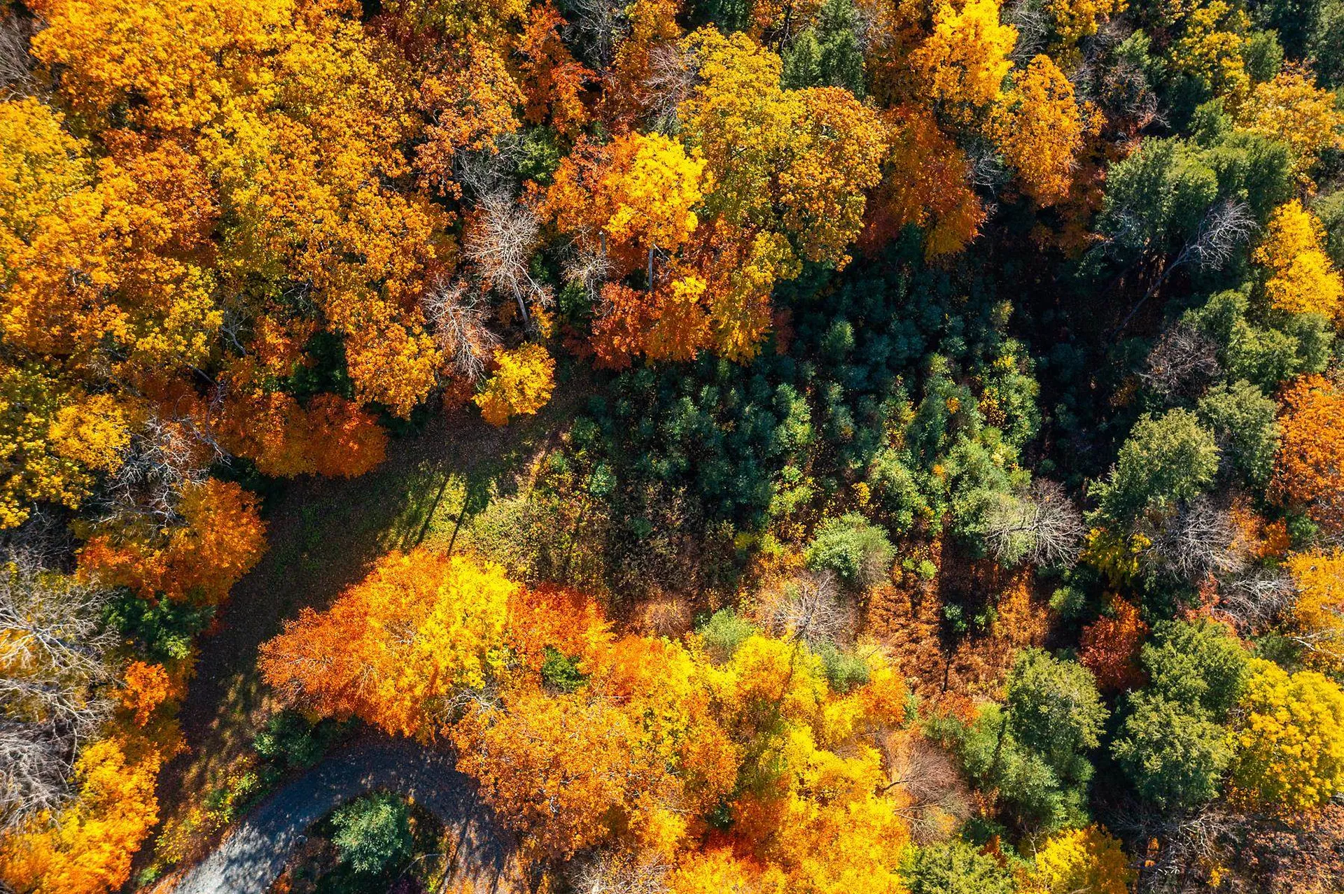 37 Low Road Hanover NH 03755