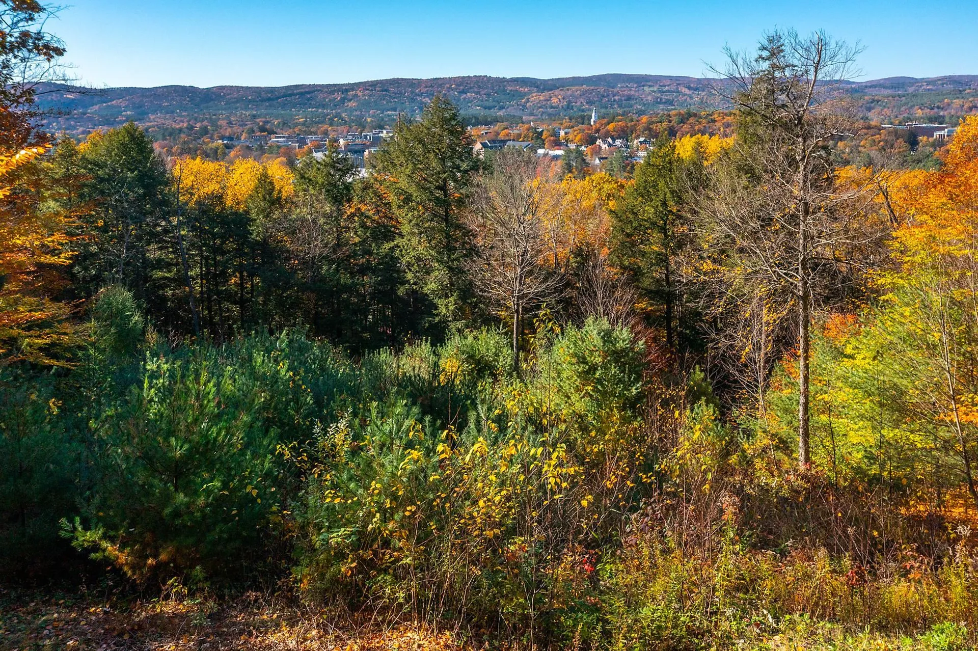 37 Low Road Hanover NH 03755