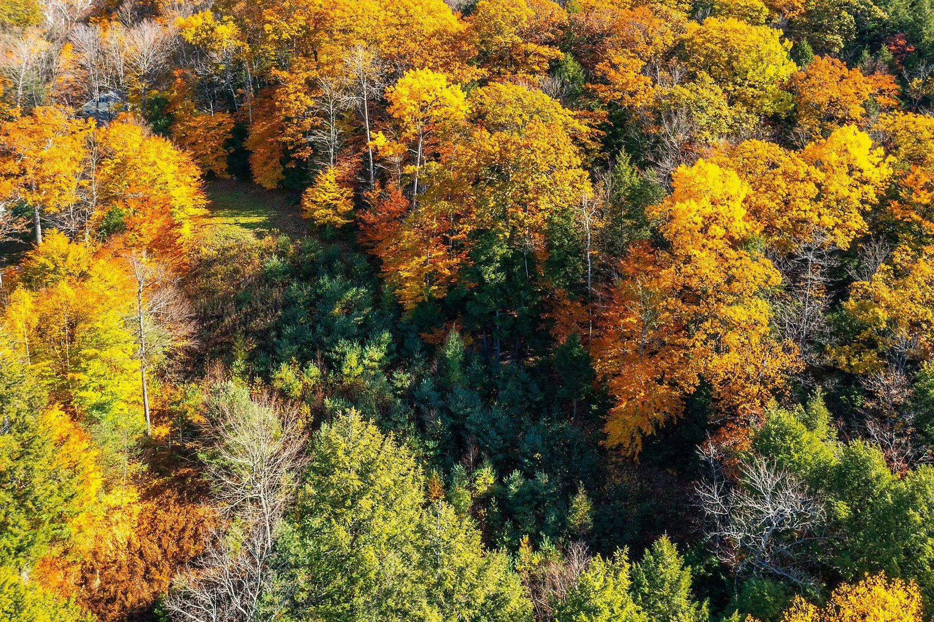 37 Low Road Hanover NH 03755