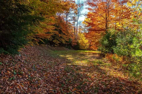 37 Low Road Hanover NH 03755