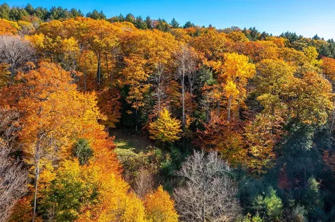 37 Low Road Hanover NH 03755