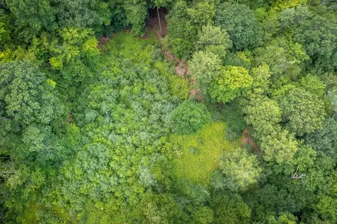 37 Low Road Hanover NH 03755