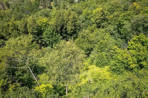 37 Low Road Hanover NH 03755