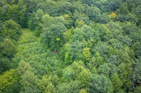 37 Low Road Hanover NH 03755