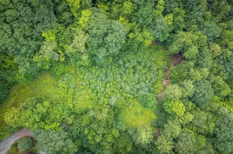 37 Low Road Hanover NH 03755